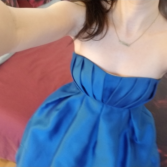 Sapphire Blue Dress - Picture 7 of 7